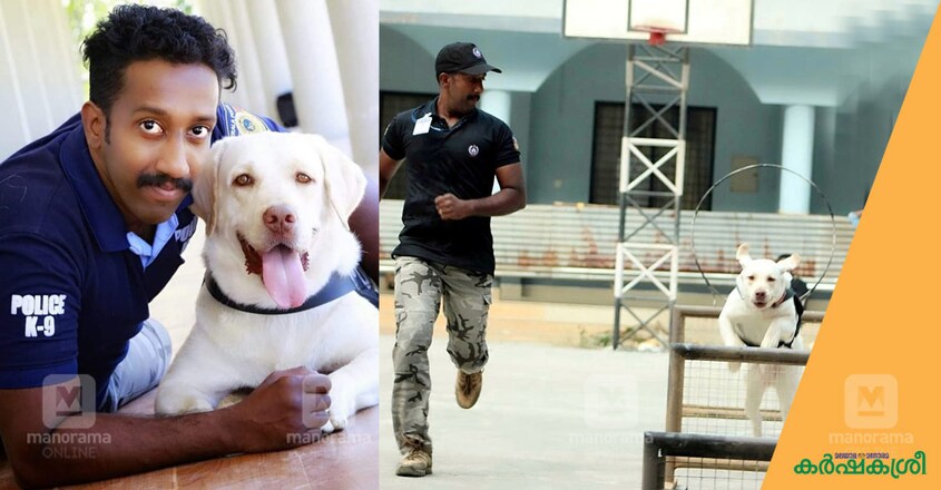 ajith-madhavan-2 ajith-madhavan-2