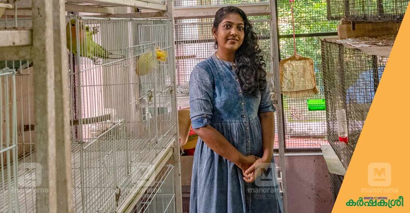 leena-jasmine-bird leena-jasmine-bird