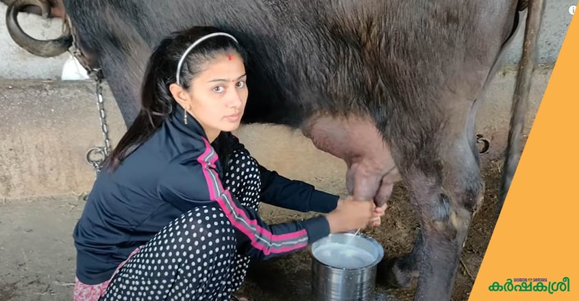 buffalo-milk-1 buffalo-milk-1