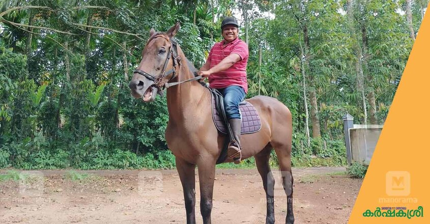 horse-rider-ajith horse-rider-ajith