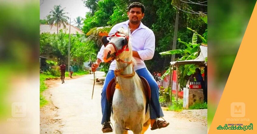 horse-rider-manu horse-rider-manu