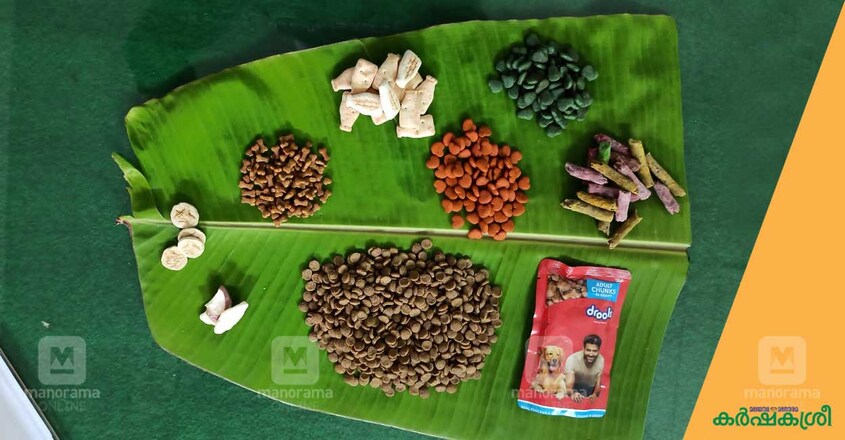 onasadya onasadya