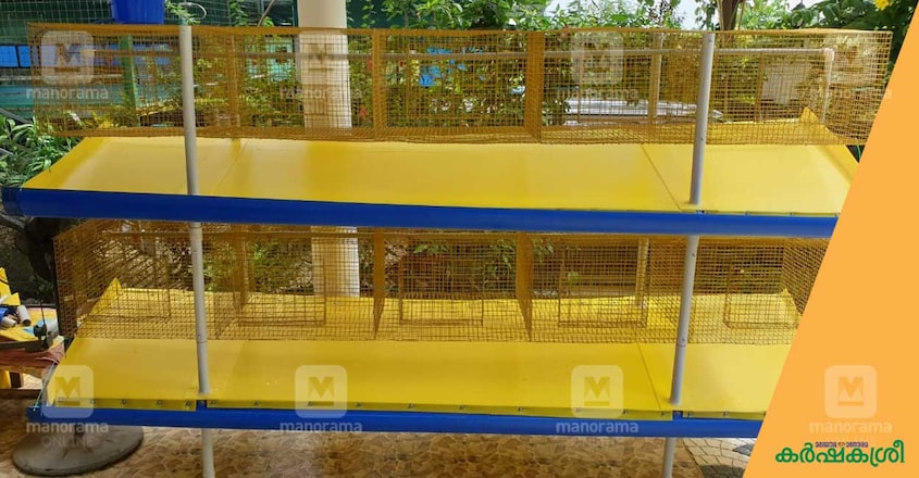 rabbit-cage rabbit-cage
