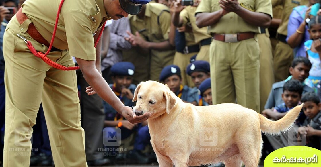 police-dog police-dog