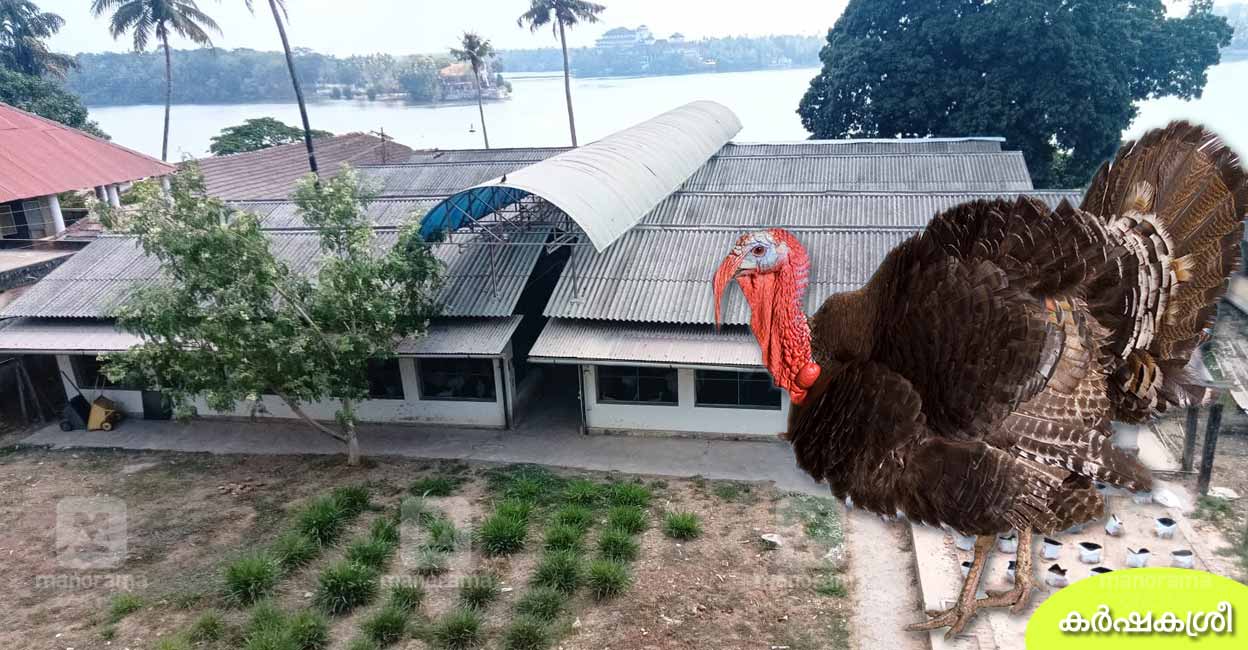 അന്ന് മഹാരാജാവിന്റെ വിശ്രമകേന്ദ്രം, ഇന്ന് ടർക്കിഫാം; ചരിത്രമുറങ്ങുന്ന കൊല്ലത്തെ കോഴി ബംഗ്ലാവ്