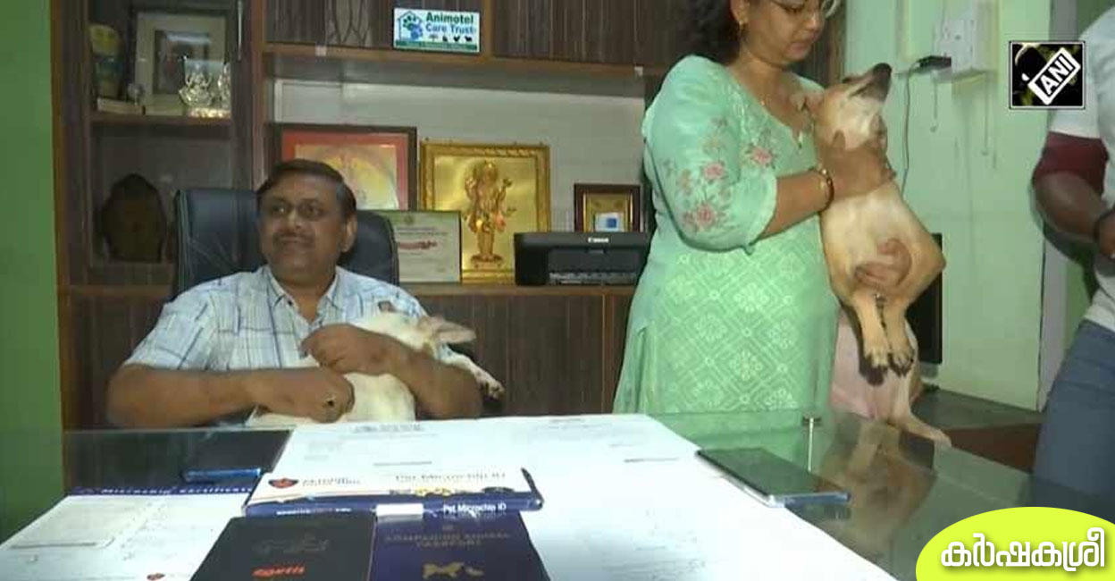 വാരാണസിയിലെ തെരുവിൽനിന്ന് ഇറ്റലിയിലേക്ക്; പറക്കാൻ തയാറായി കേരളത്തിലെ നായ്ക്കളും