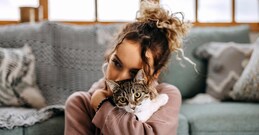 പൂച്ചകളെ വളർത്തുന്നവർ ശ്രദ്ധിക്കുക: മഴയോടൊപ്പം മാരകമായ പാർവോ രോഗവുമെത്തിയേക്കാം, കരുതൽ വേണം