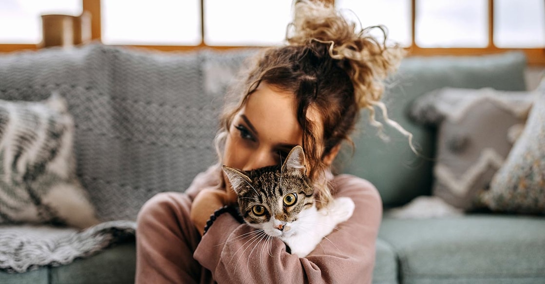 cat Representational image. Image credit: t:Pekic/iStockPhoto
