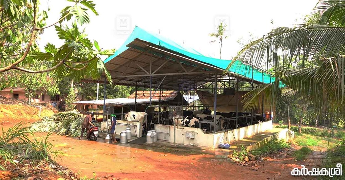 താപനിയന്ത്രണ സംവിധാനങ്ങൾ ഒരുക്കിയിരിക്കുന്ന തൊഴുത്ത്