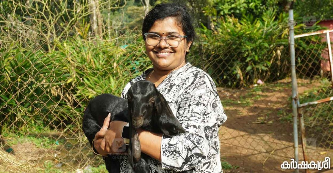 goat-farming