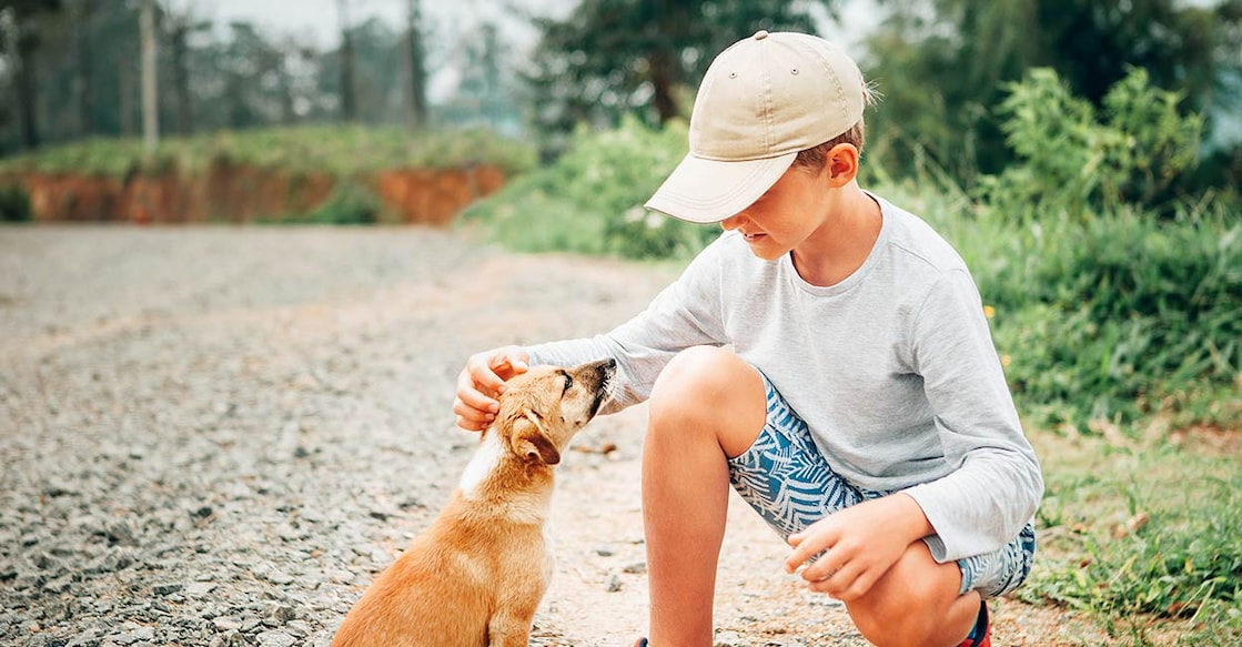 rabies-kerala-child-death Image Credit : Solovyova / IstockPhoto