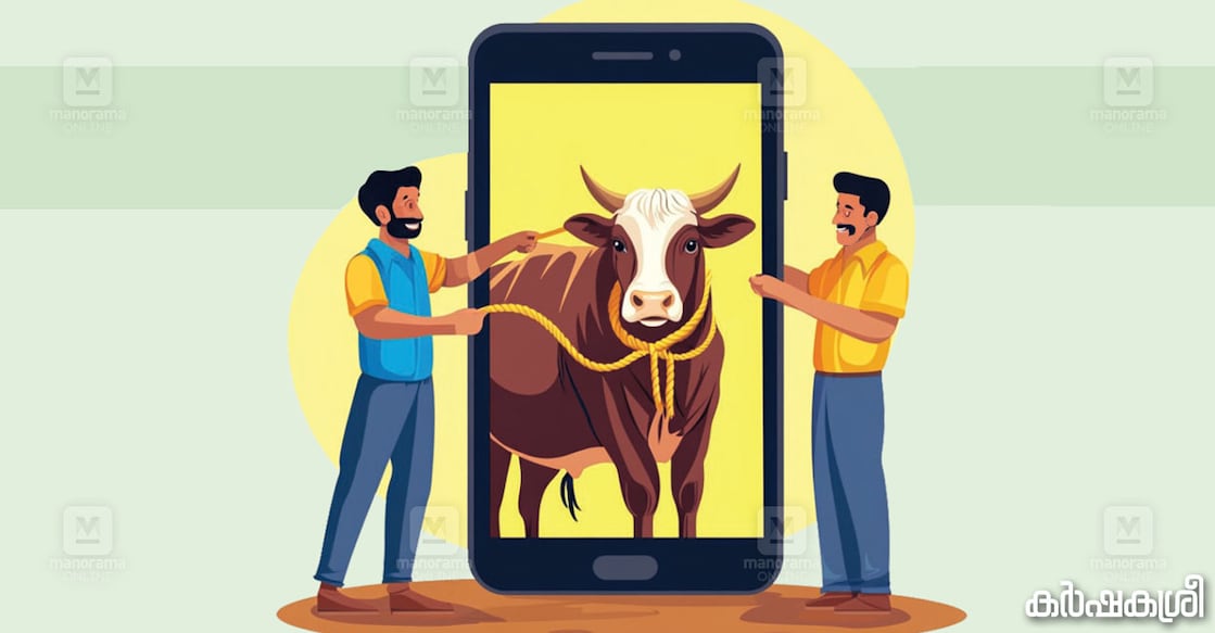 cow-mobile-app-1 cow-mobile-app-1