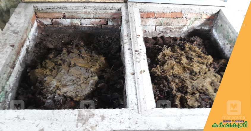 vermi-compost-2 vermi-compost-2