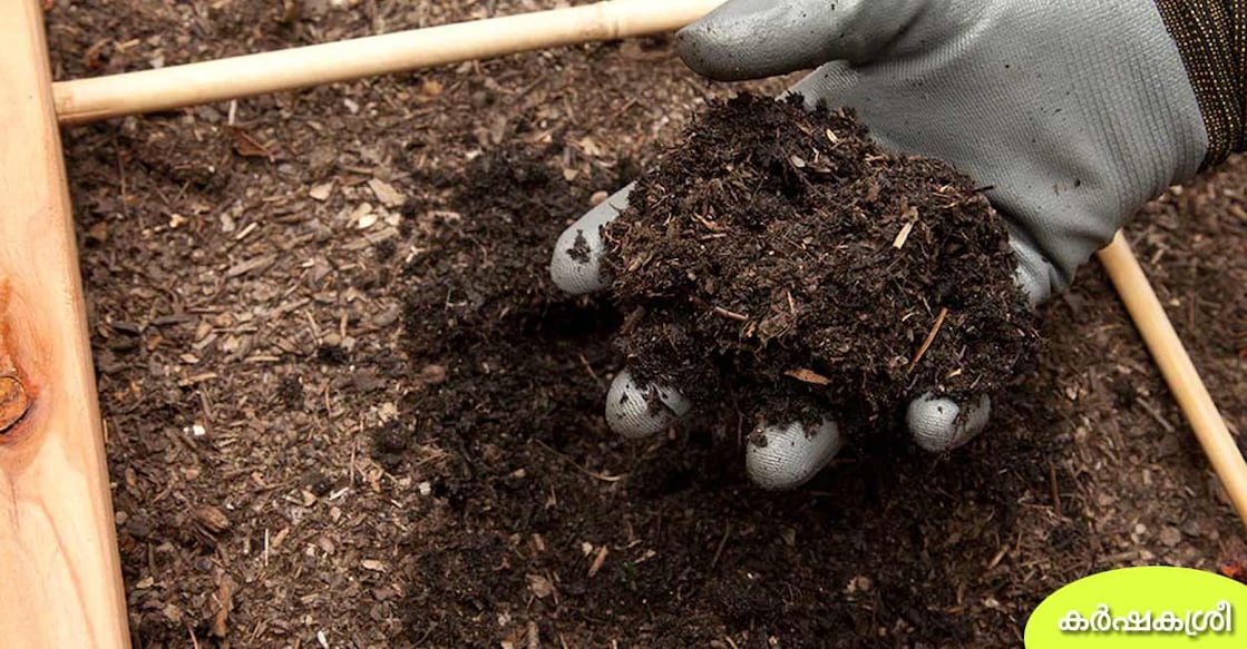 compost compost