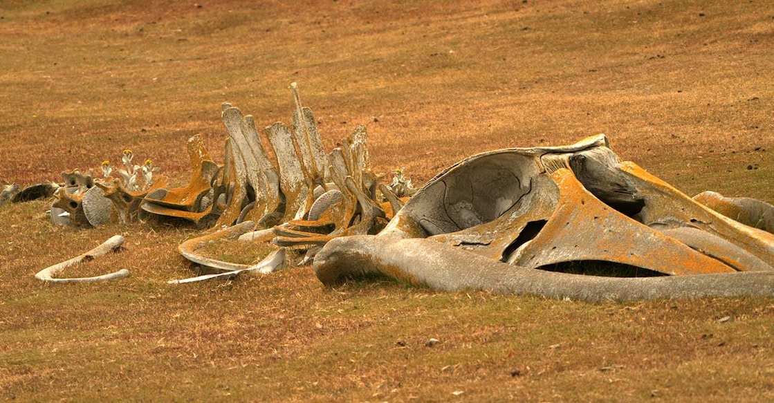 1855432090 Representative image. Photo credits : twabian/ Shutterstock.com