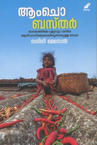 book-aamcho-bastar