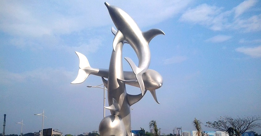 Dolphin Dolphin