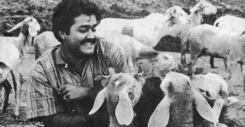 namukku-parkan-munthiri-thoppukal-4488 namukku-parkan-munthiri-thoppukal-4488