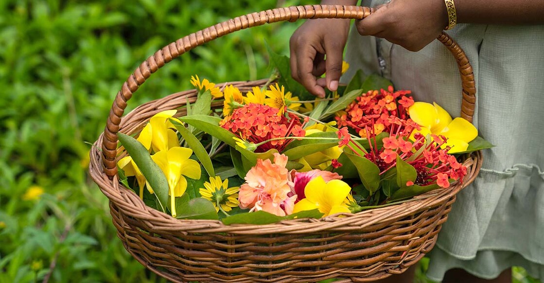Representative image. Photo Credit: Sarath Maroli/Shutterstock.com