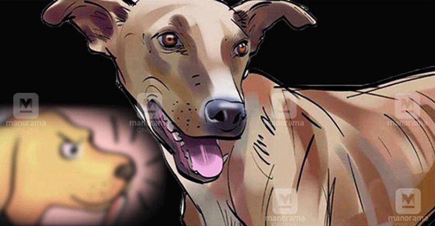 dog22 dog22