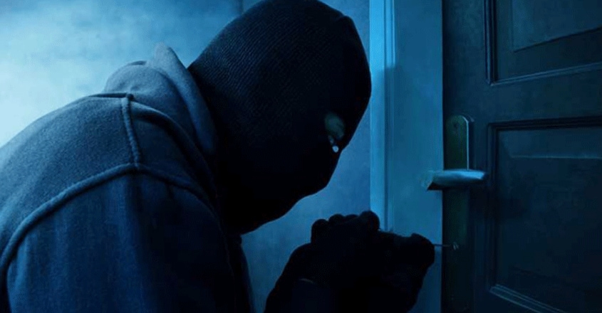 thief-455 thief-455