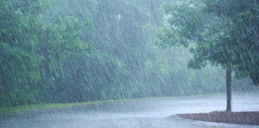 rain-001 rain-001