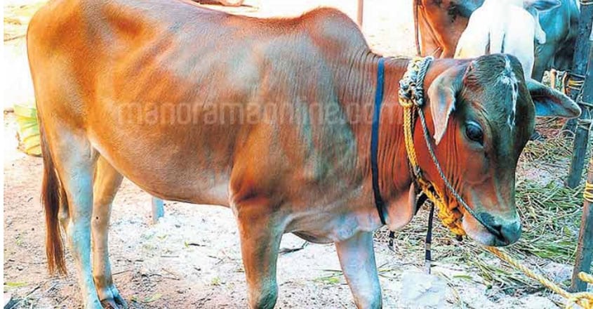 രാമേട്ടൻ (കഥ) രാമേട്ടൻ (കഥ)