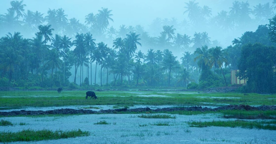 malayalam-poem-mazhayude-pranayam