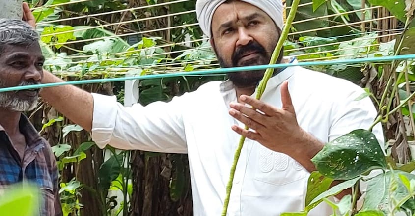 mohanlal-farm