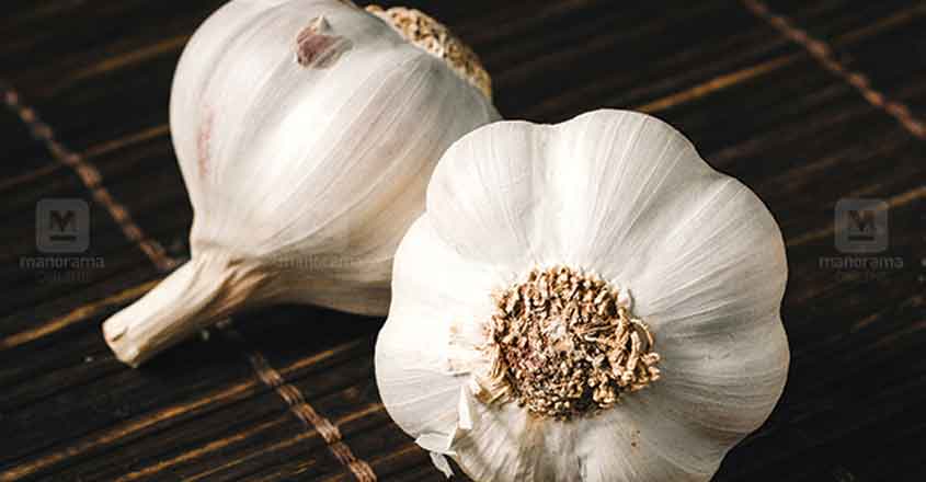 garlic garlic