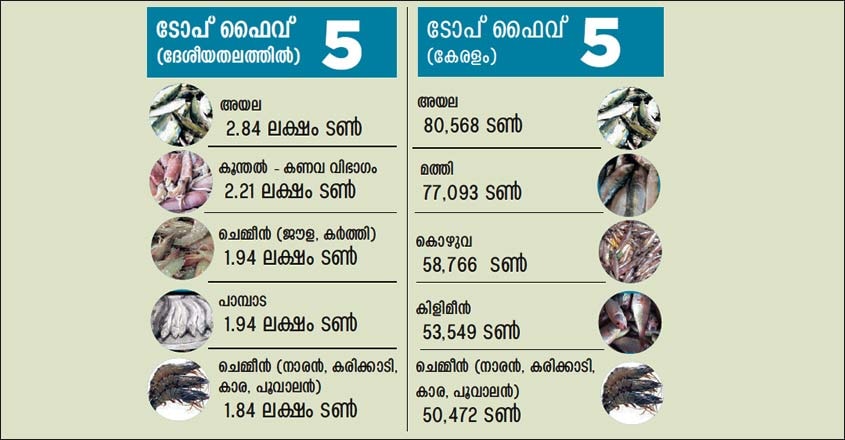 fish-price fish-price