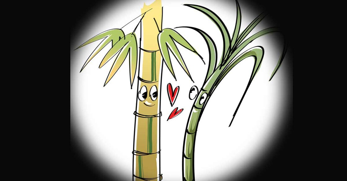 business-suger-tree