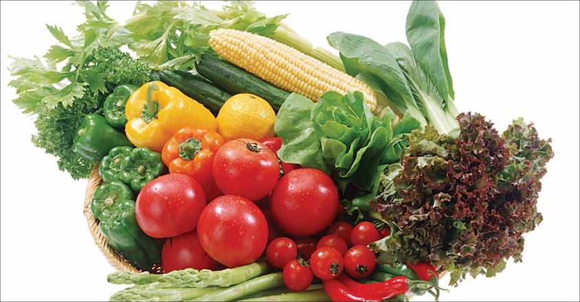 vegetable vegetable