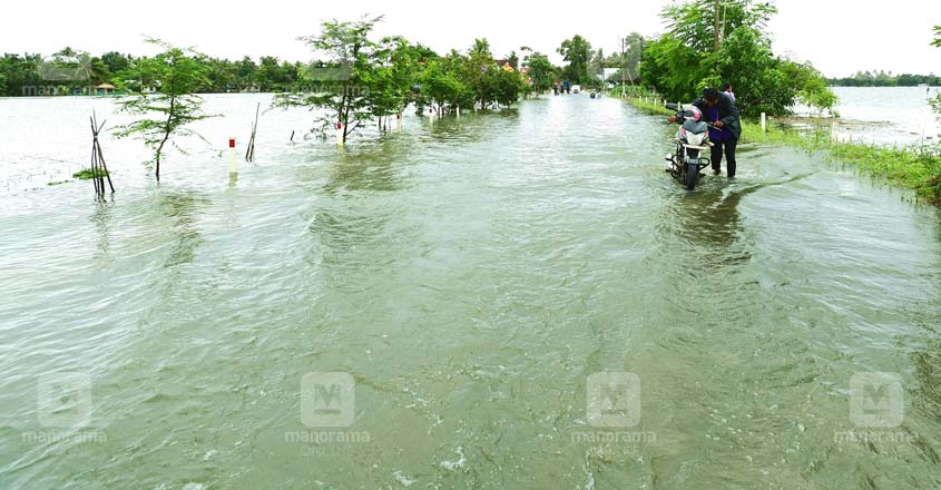 kottayam-kumarakom-road kottayam-kumarakom-road
