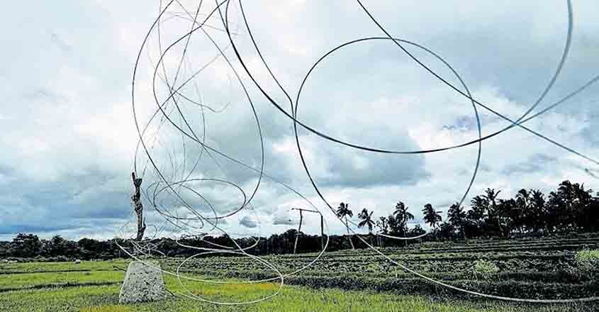 barb-wire barb-wire