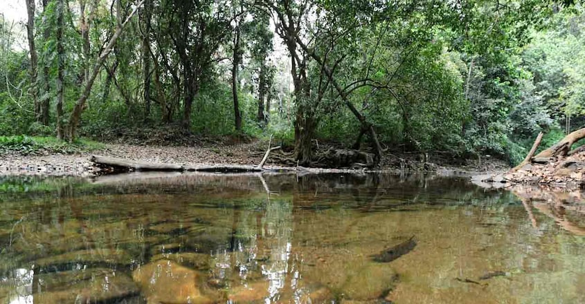 kannavam-river kannavam-river