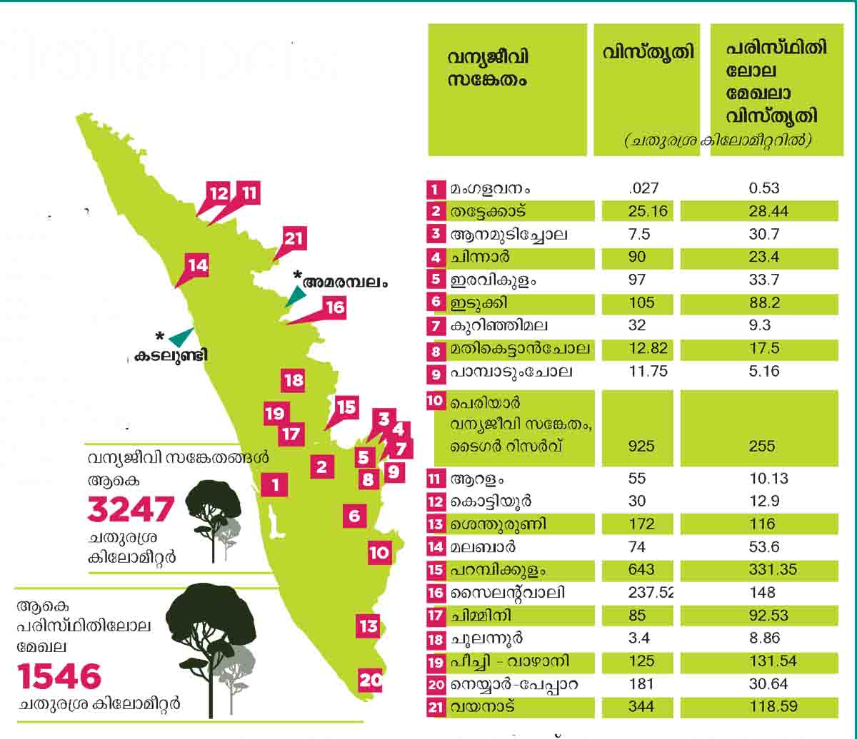 ‘ലോല’മല്ല, കഠിനം! Buffer Zone kerala Manorama Online