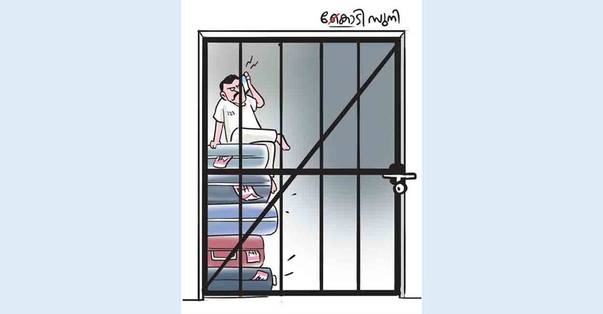 tp-murder-case-cartoon tp-murder-case-cartoon