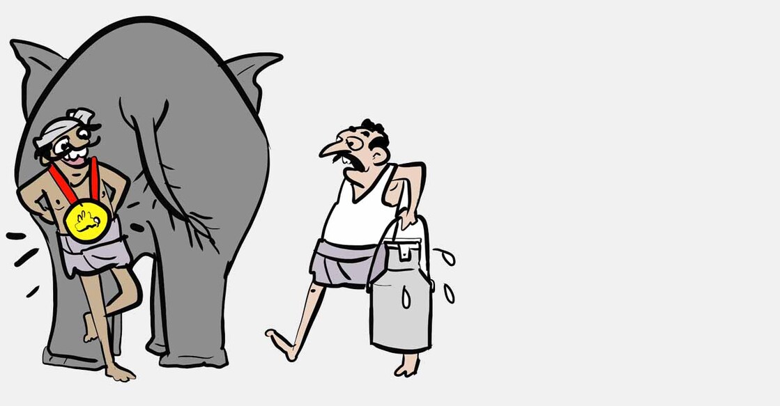 elephant elephant