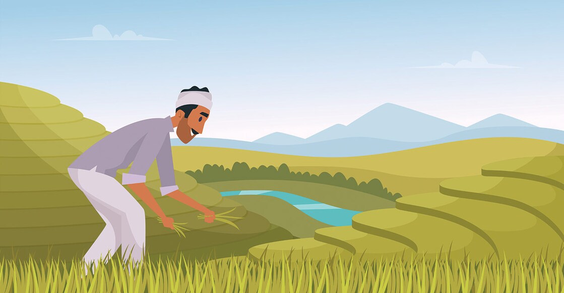 Indian agriculture landscape. Farmer working in indian rice fields rural worker vector cartoon background, Indian agriculture landscape. Farmer working in indian rice fields rural worker vector cartoon background