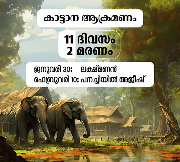 Wild Animal Attack, Wayanad, Elephant Attack