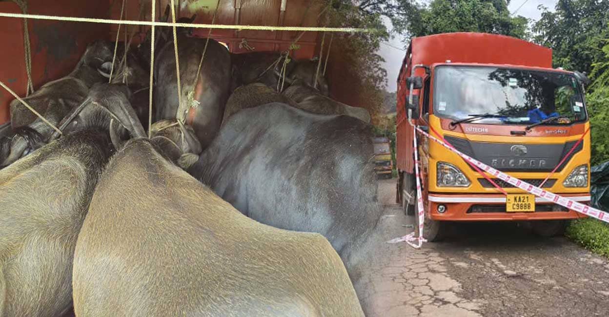 Karnataka Police Shoot Malayali Man During Cattle Smuggling