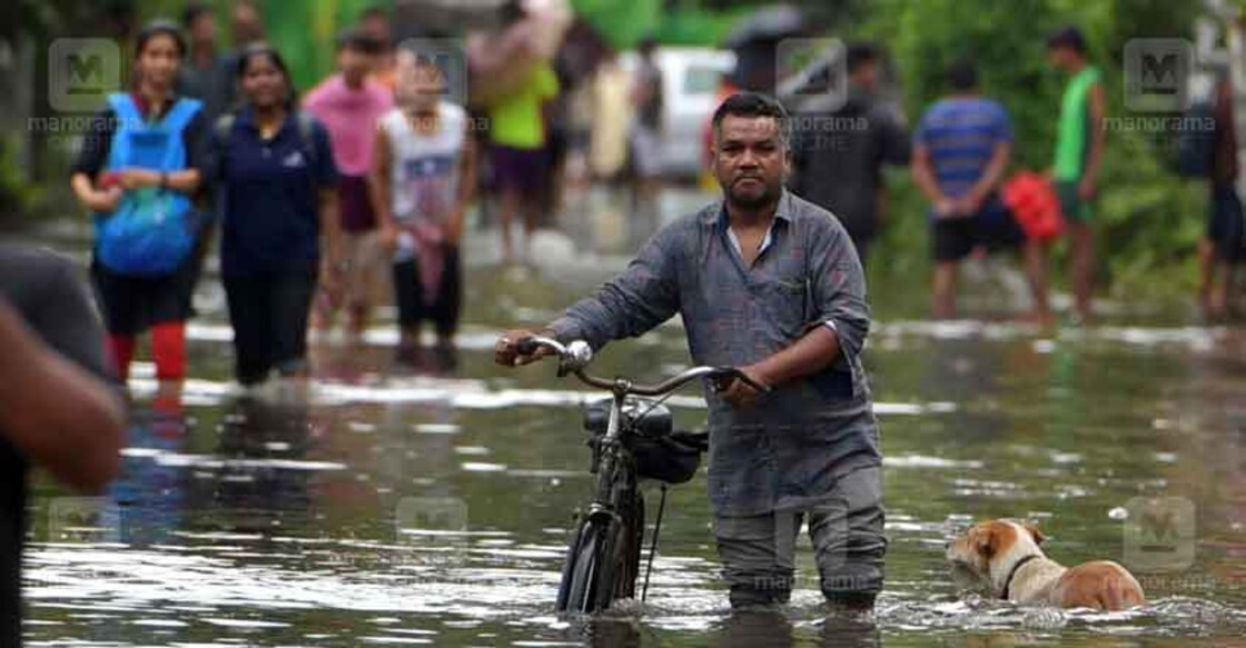 rain-kochi-16 കൊച്ചിയില് കനത്ത മഴപെയ്തുണ്ടായ ദുരിത കാഴ്ച. ചിത്രം . ജോസ്കുട്ടി പനയ്ക്കല് ∙ മനോരമ