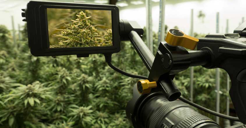 camera-kanjavu camera-kanjavu