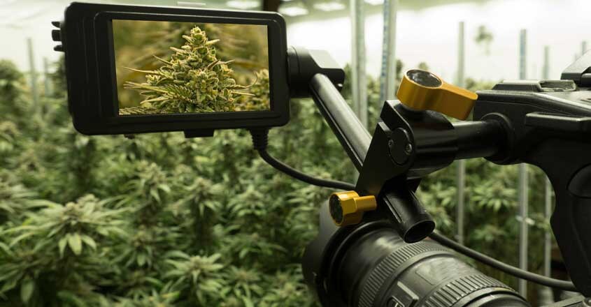 camera-kanjavu camera-kanjavu