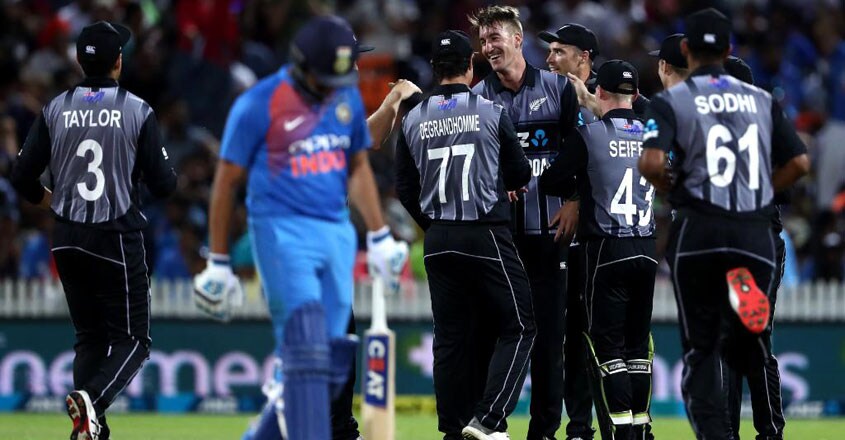 new-zealand-wicket-celebration new-zealand-wicket-celebration