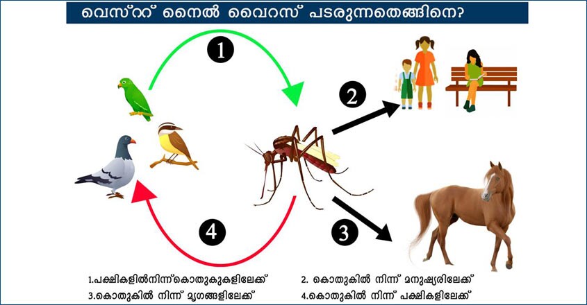 West Nile Virus West Nile Virus