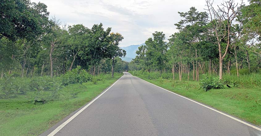 Sancharam-Gundalpett-Forest Sancharam-Gundalpett-Forest