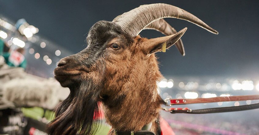 hennes-1 hennes-1