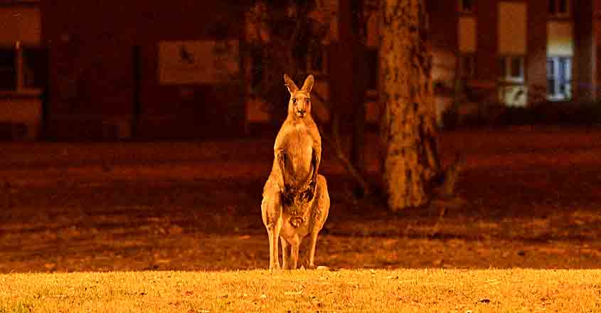 Australia Fire Australia Fire